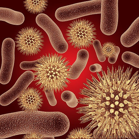 Bacteria, Viruses & Pathogenic Stressors...